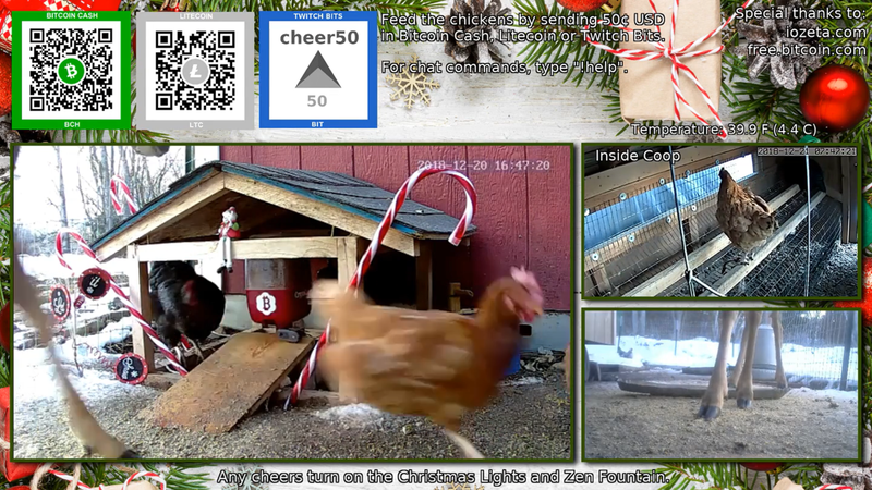 Illustration for article titled The Latest Twitch Sensation Is Chickens, Goats, And Bees